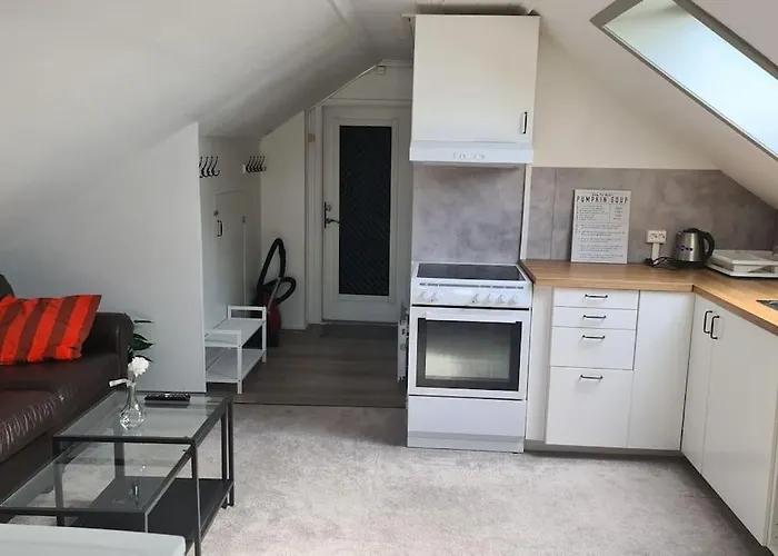 Cosey 1 Bedroom Loft With Free Parking * Stavanger